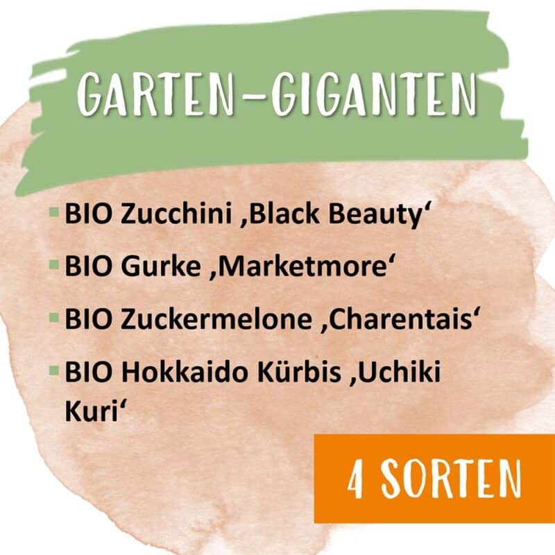 BIO Saatgut 4er Set „GartenGiganten“, meine ernte meine ernte Shop