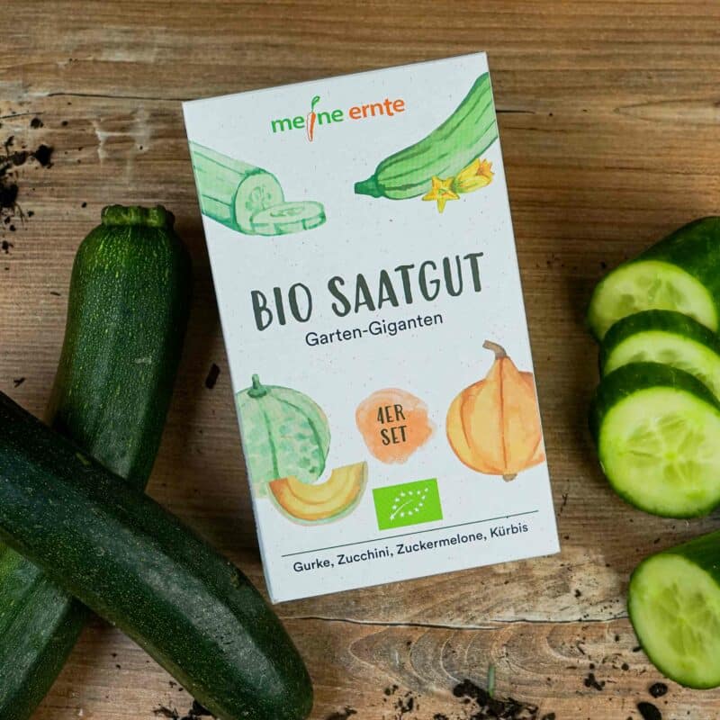 BIO Saatgut 4er Set „GartenGiganten“, meine ernte meine ernte Shop
