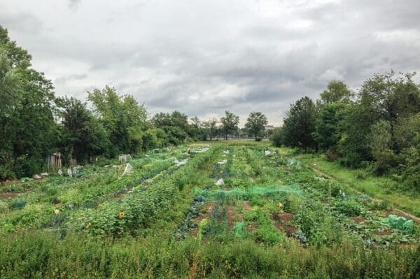 Gemüsegarten mieten in Düsseldorf Niederkassel