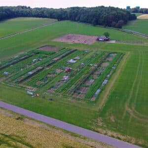 Gemüsegarten mieten in Herten