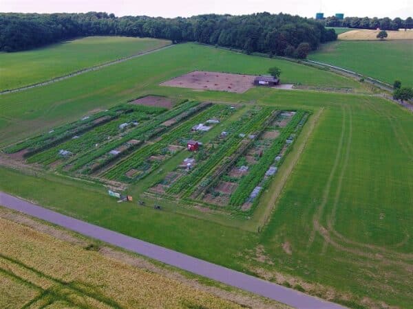 Gemüsegarten mieten in Herten