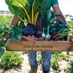 Beliebte Gemüsesorten