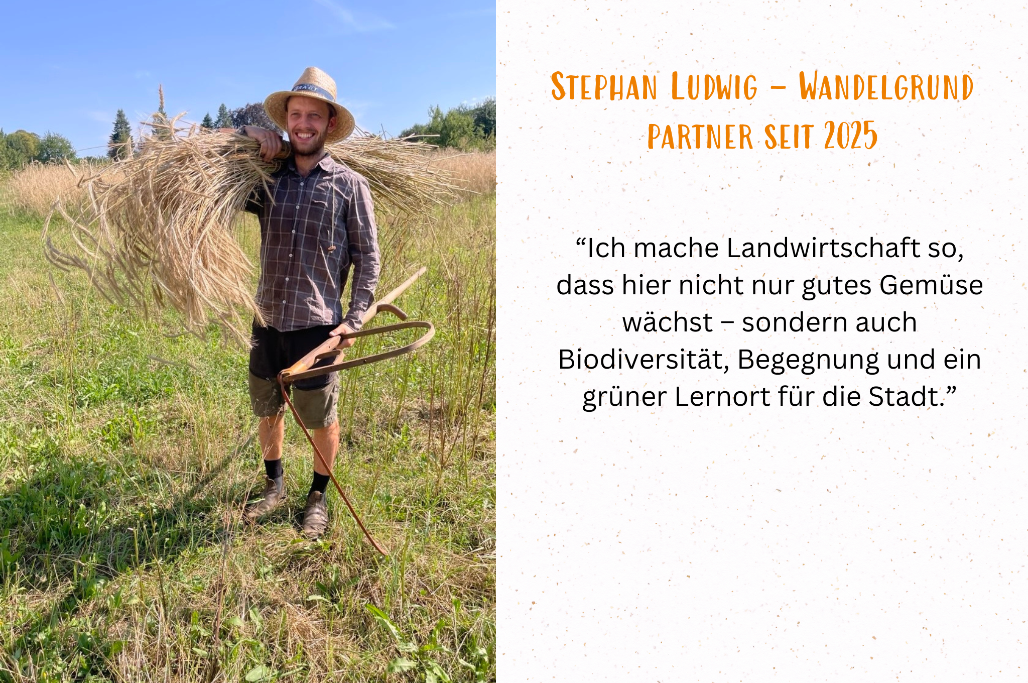 Gemüsegarten mieten in Dresden – Bild 3