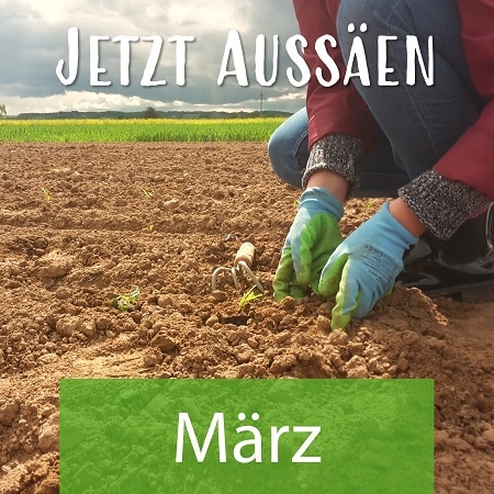 Aussäen im März page meine ernte Shop