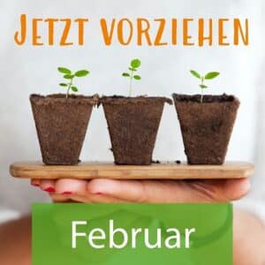 Vorziehen im Februar