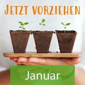 Vorziehen/Aussaat im Januar