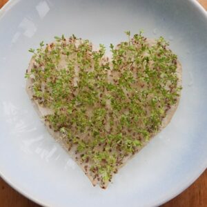 Kresseherz meine ernte