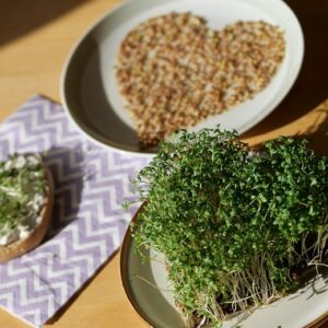 Kresseherz meine ernte