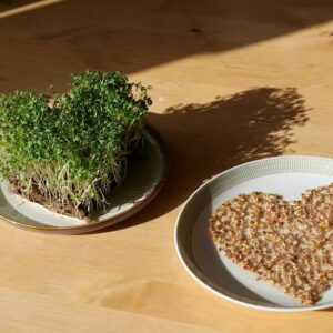 Kresseherz meine ernte