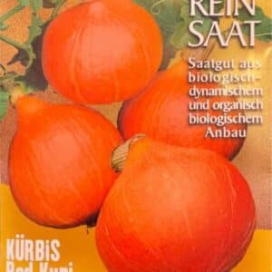 Kürbis Red Kuri