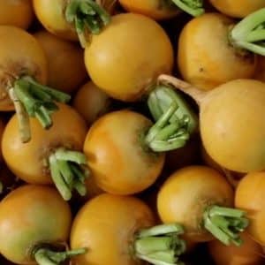 Mairübe jaune boule d'or