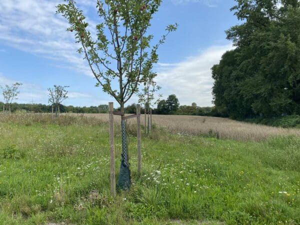 Gemüsegarten mieten in Herne 2024 meine ernte Shop
