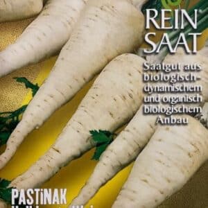 Pastinake 