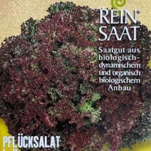 Salat / Pflücksalat "Lollo Rossa"
