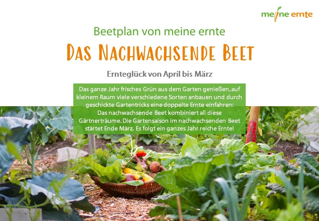 Beetplan „Das Nachwachsende Beet“