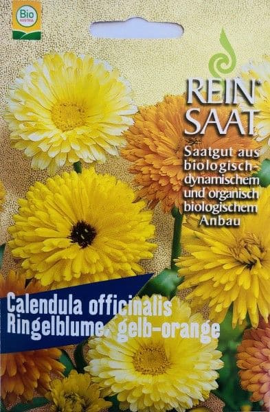 Blume Ringelblume gelb/orange (Calendula officinalis)
