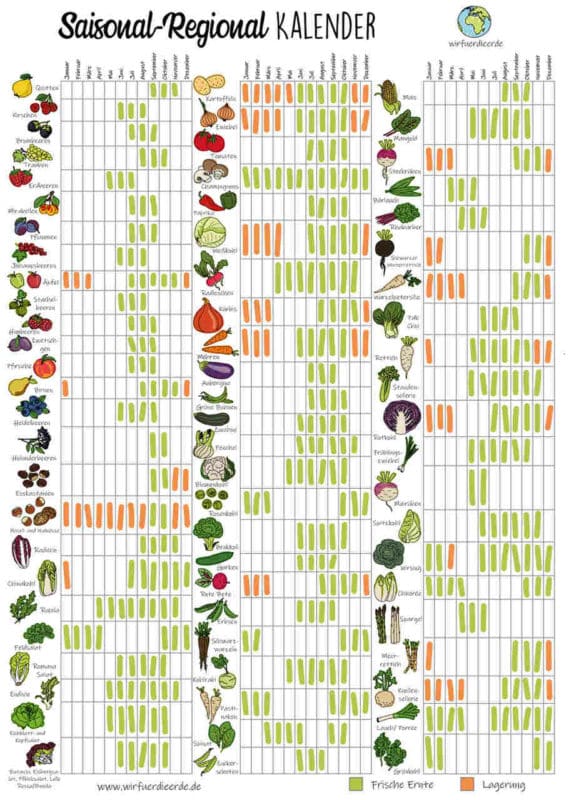 Saisonkalender Poster Obst und Gemüse, doppelseitig A3 - meine ernte Shop