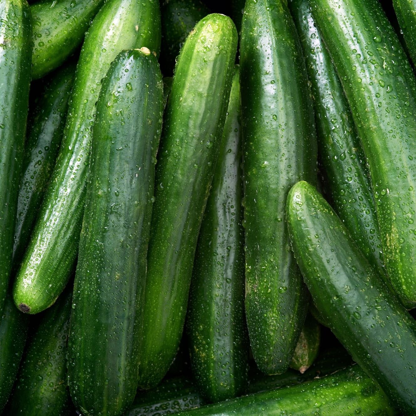 Bio-Premium-Set Sommergemüse I – Bild 6