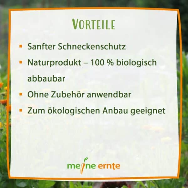 Schneckenbremse meine ernte – Bild 5