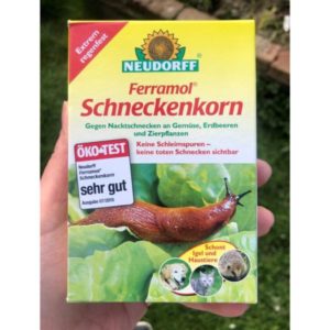 Schneckenkorn