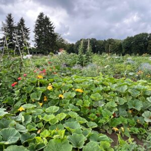 Gemüsegarten mieten in Bochum