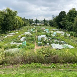 Gemüsegarten mieten in Düsseldorf-Niederkassel