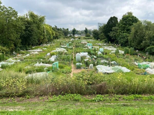 Gemüsegarten mieten in Düsseldorf-Niederkassel