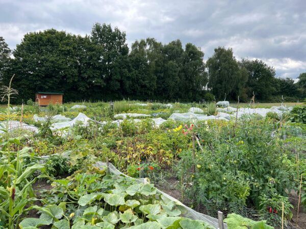 Gemüsegarten mieten in Herne