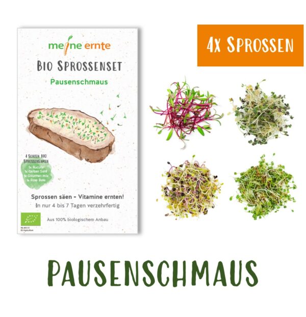 BIO Sprossenpaket 4er Set "Pausenschmaus" meine ernte