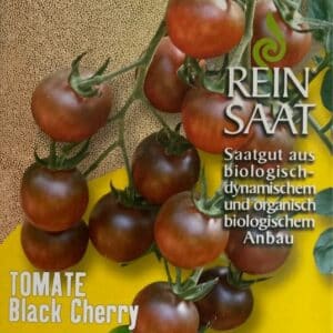 Tomate "Black Cherry"