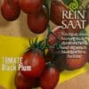 Tomate "Black Plum"