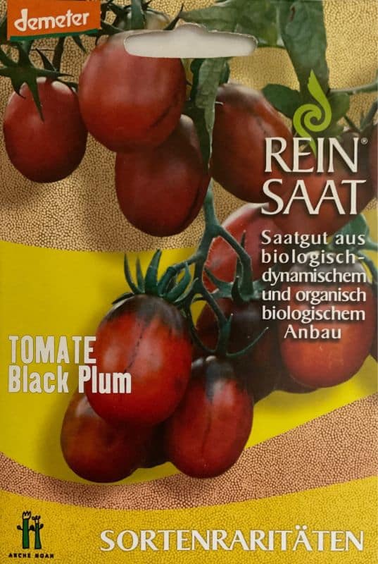Tomate "Black Plum"