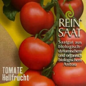 Tomate "Hellfrucht"