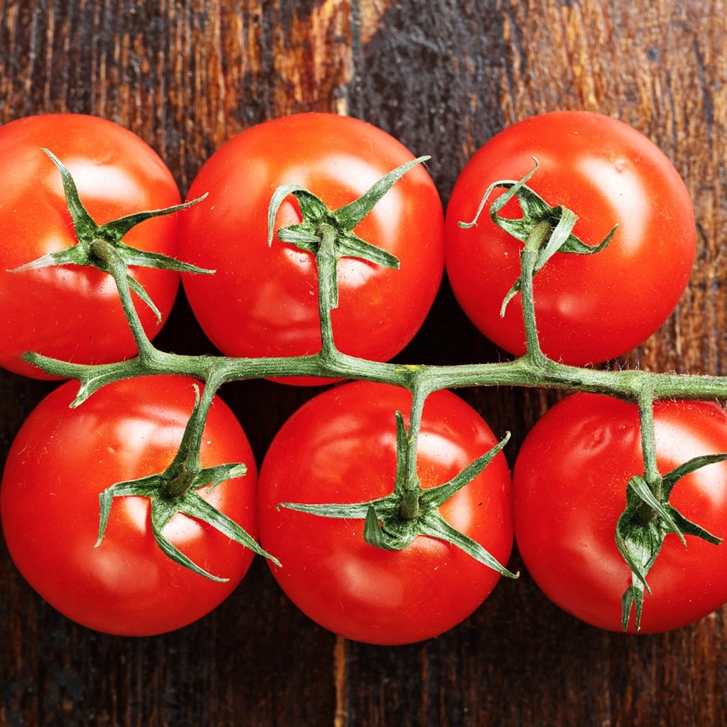 Bio-Premium-Set Tomate-Basilikum – Bild 7