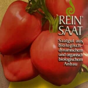 Tomate "Ochsenherz"