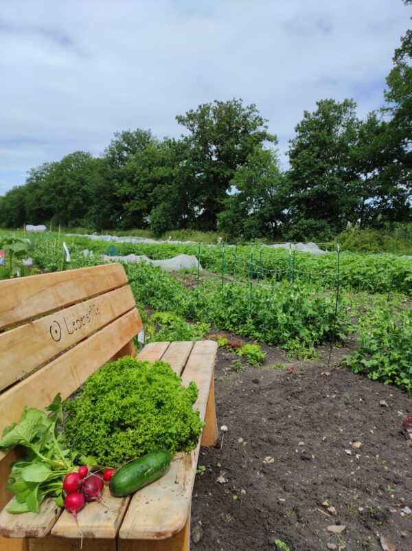 Gemüsegarten mieten in Hamburg / Norderstedt