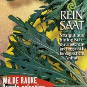 Rucola selvatica - Wilde Rauke