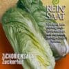 Salat - Radicchio Zuckerhut
