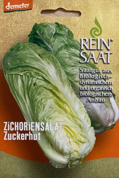 Salat - Radicchio Zuckerhut