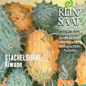 Stachelgurke