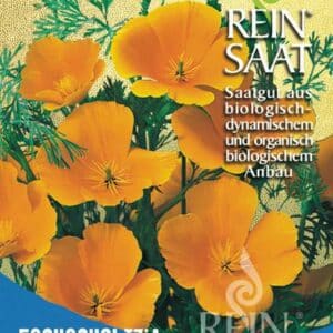 Kalifornischer Mohn Goldmohn