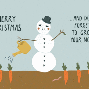 Einpflanzbare Weihnachtskarte "Snowman"