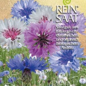 Kornblume bunte Mischung