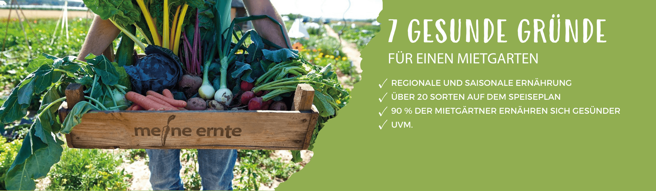 Produkte für deinen Gemüsegarten online bestellen