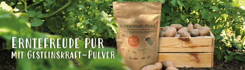 Produkte für deinen Gemüsegarten online bestellen