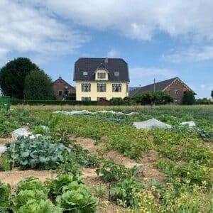 Gemüsegarten mieten in Krefeld