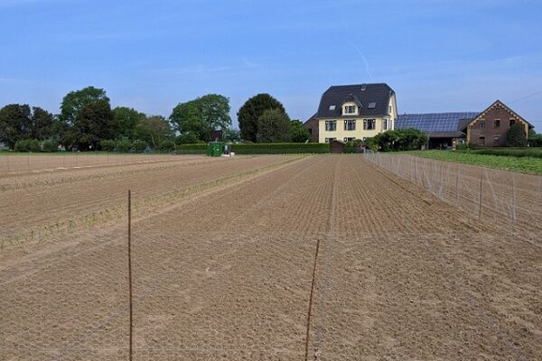 Gemüsegarten mieten in Krefeld - 2024 – Bild 3