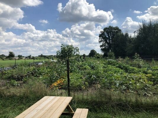 Gemüsegarten mieten in Hamburg / Barsbüttel 2025 meine ernte Shop