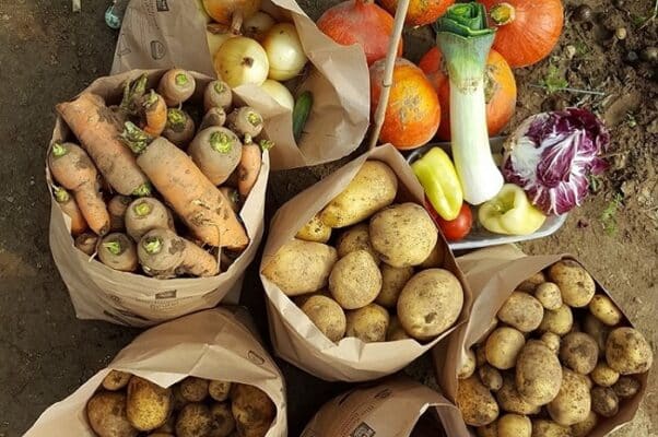 Gemüsegarten mieten in DüsseldorfNiederkassel 2025 meine ernte Shop