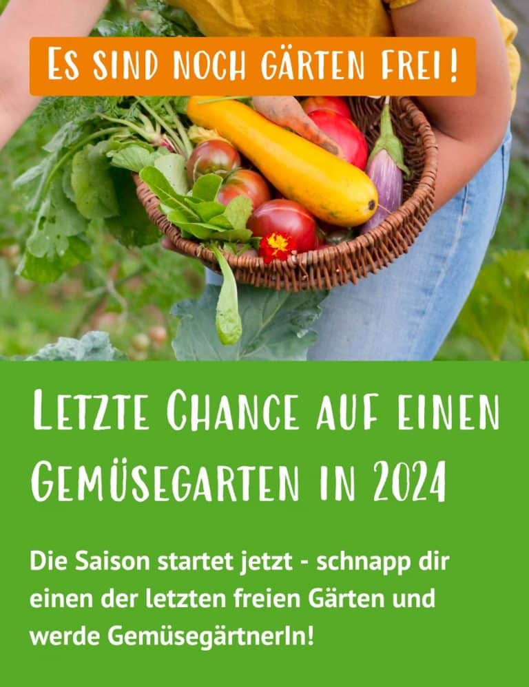 Produkte für deinen Gemüsegarten online bestellen